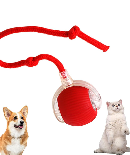 Dog and Cat Toys Ball Smart Rolling LED Ball, Automatic & USB Rechargeable