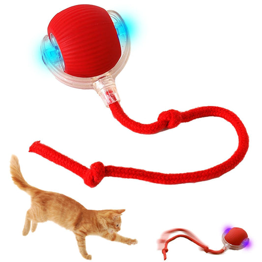 Dog and Cat Toys Ball Smart Rolling LED Ball, Automatic & USB Rechargeable